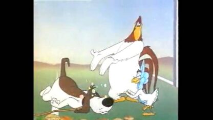 Lovelorn Leghorn (1951) Starring Mel Blanc on DVD