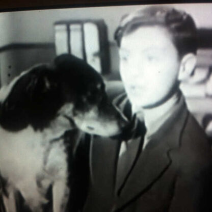 Loyal Heart (1946) Starring Fleet on DVD - Image 3