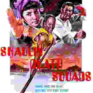 Lü si niang chuang shao lin (1976) with English Subtitles on DVD