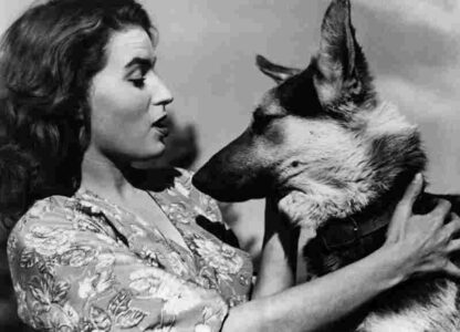 Lure of the Sila (1949) with English Subtitles on DVD - Image 3