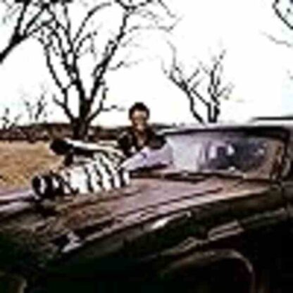 Mad Max 2: The Road Warrior (1981) Starring Mel Gibson on DVD