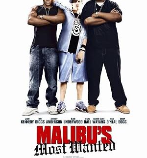 Malibu's Most Wanted (2003) DVD