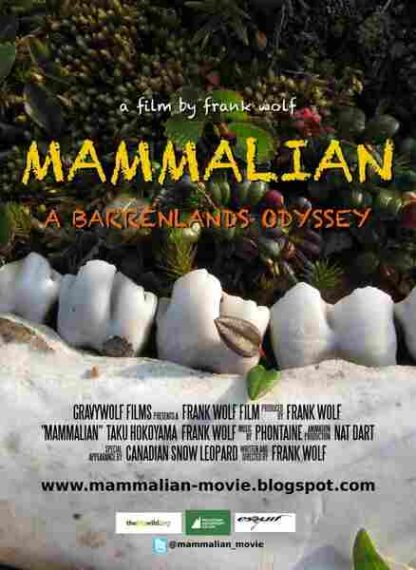 Mammalian (2010) Starring Taku Hokoyama on DVD