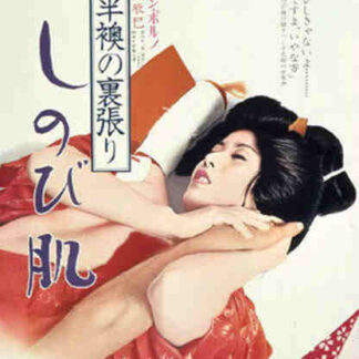 Man and Woman Behind the Fusuma Screen: Enduring Skin (1974) with English Subtitles on DVD