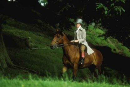 Mansfield Park (TV Series 1983–1983) (1983) Starring Anna Massey on DVD