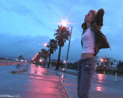 Maple Palm (2006) Starring Deborah Stewart on DVD - Image 2