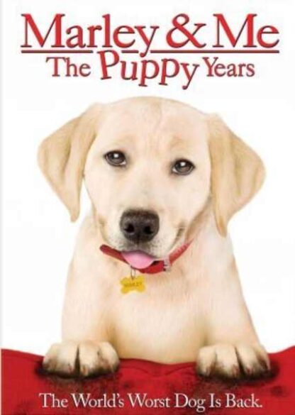 Marley & Me: The Puppy Years (2011) Starring Travis Turner on DVD - Image 5