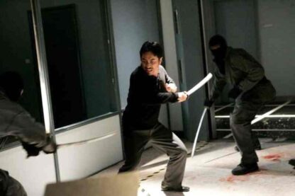 Mask of the Ninja (2008) Starring Casper Van Dien on DVD - Image 2