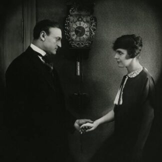 Master of the House (1925) with English Subtitles on DVD