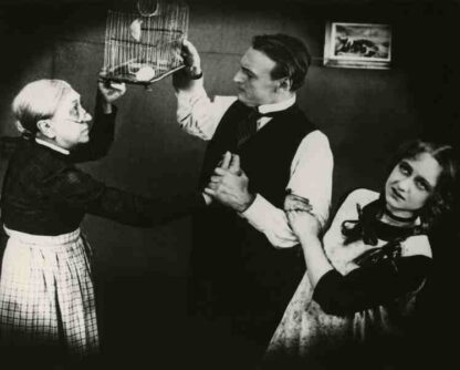 Master of the House (1925) with English Subtitles on DVD - Image 2