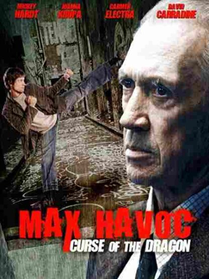 Max Havoc: Curse of the Dragon (2004) Starring Mickey Hardt on DVD