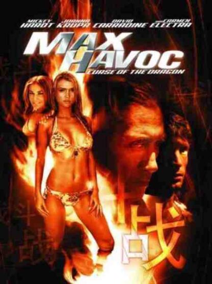 Max Havoc: Curse of the Dragon (2004) Starring Mickey Hardt on DVD - Image 2