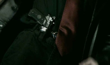 Max Payne: Days of Revenge (2009) with English Subtitles on DVD