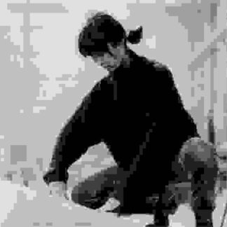 Maya Lin: A Strong Clear Vision (1994) Starring Maya Lin on DVD