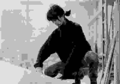 Maya Lin: A Strong Clear Vision (1994) Starring Maya Lin on DVD