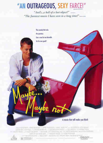 Maybe... Maybe Not (1994) with English Subtitles on DVD - Image 5