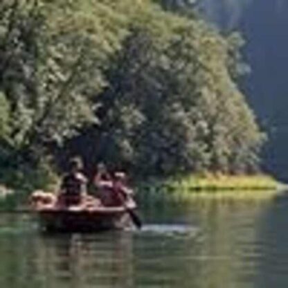 Mean Creek (2004) Starring Rory Culkin on DVD
