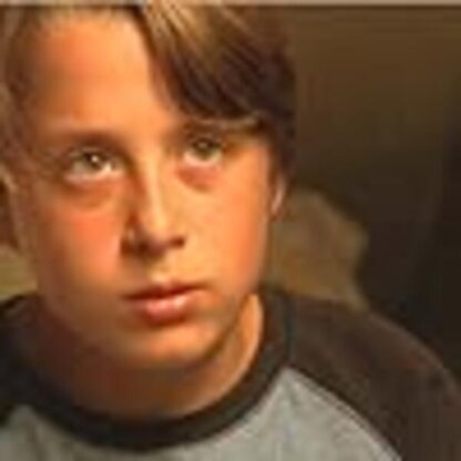 Mean Creek (2004) Starring Rory Culkin on DVD - Image 4
