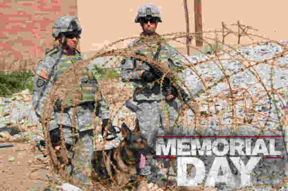 Memorial Day (2012) Starring Jonathan Bennett on DVD - Image 4