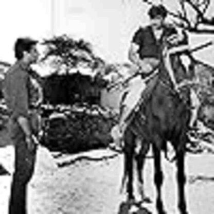 Mera Gaon Mera Desh (1971) with English Subtitles on DVD - Image 3