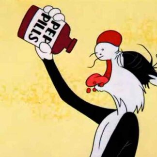 Mexican Boarders (1962) Starring Mel Blanc on DVD