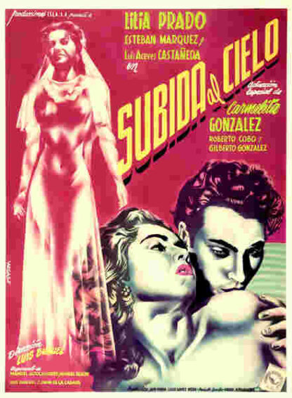 Mexican Bus Ride (1952) with English Subtitles on DVD - Image 5