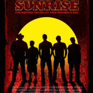 Mexican Sunrise (2007) Starring Armand Assante on DVD