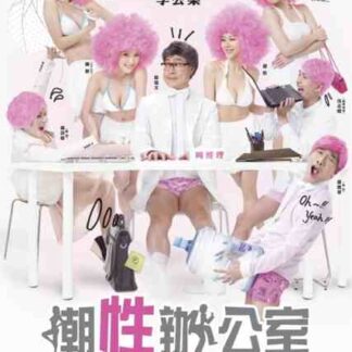 Microsex Office (2011) with English Subtitles on DVD