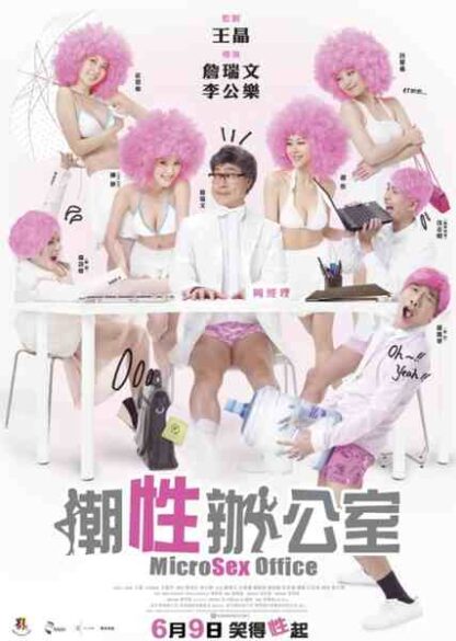 Microsex Office (2011) with English Subtitles on DVD - Image 2