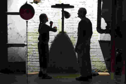 Million Dollar Baby (2004) Starring Clint Eastwood on DVD - Image 3