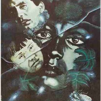 Mirror (1975) with English Subtitles on DVD
