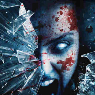 Mirrors 2 (2010) Starring Nick Stahl on DVD