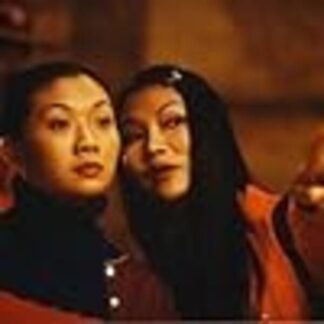 Miss Wonton (2001) Starring Amy Ting on DVD