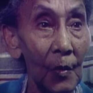 Mississippi Triangle (1984) Starring  on DVD