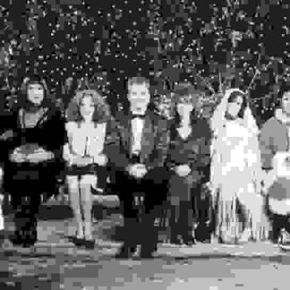 Mixed Nuts (1994) Starring Steve Martin on DVD