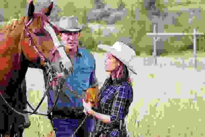 Montana Sky (2007) Starring Ashley Williams on DVD - Image 2