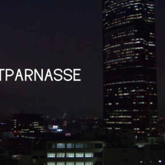 Montparnasse (2009) with English Subtitles on DVD