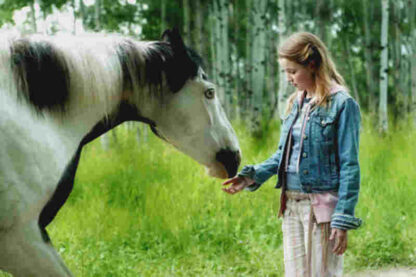 Moondance Alexander (2007) Starring Kay Panabaker on DVD - Image 4