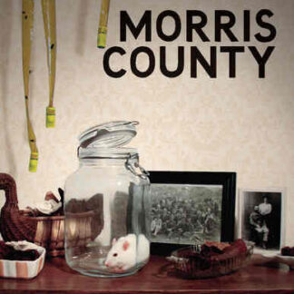 Morris County (2009) Starring Darcy Miller on DVD