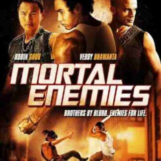 Mortal Enemies (2011) Starring Robin Shou on DVD