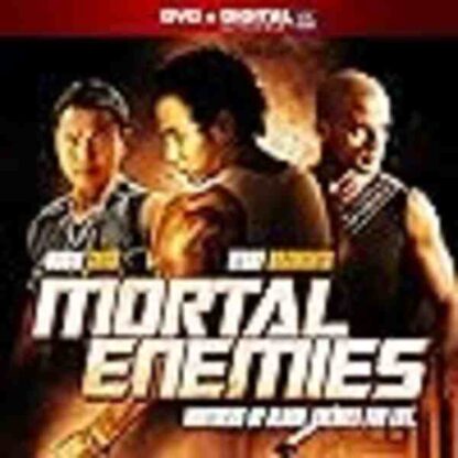 Mortal Enemies (2011) Starring Robin Shou on DVD - Image 2