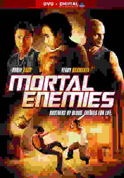 Mortal Enemies (2011) Starring Robin Shou on DVD - Image 3