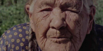 Mother of Many Children (1977) Starring  on DVD