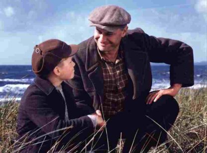 Mother of Mine (2005) with English Subtitles on DVD - Image 4