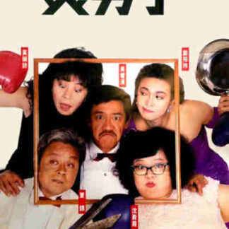 Mr. Handsome (1987) with English Subtitles on DVD