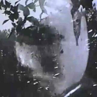 Mr. Hayashi (1963) with English Subtitles on DVD