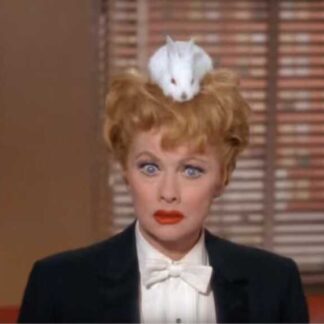 Mr. and Mrs. (1964) Starring Lucille Ball on DVD