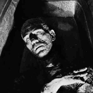 Mummy Dearest: A Horror Tradition Unearthed (1999) Starring Rudy Behlmer on DVD