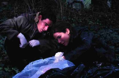 Murder by Numbers (2002) Starring Sandra Bullock on DVD - Image 3