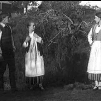 Murtovarkaus (1926) with English Subtitles on DVD